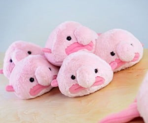 blobfish plush