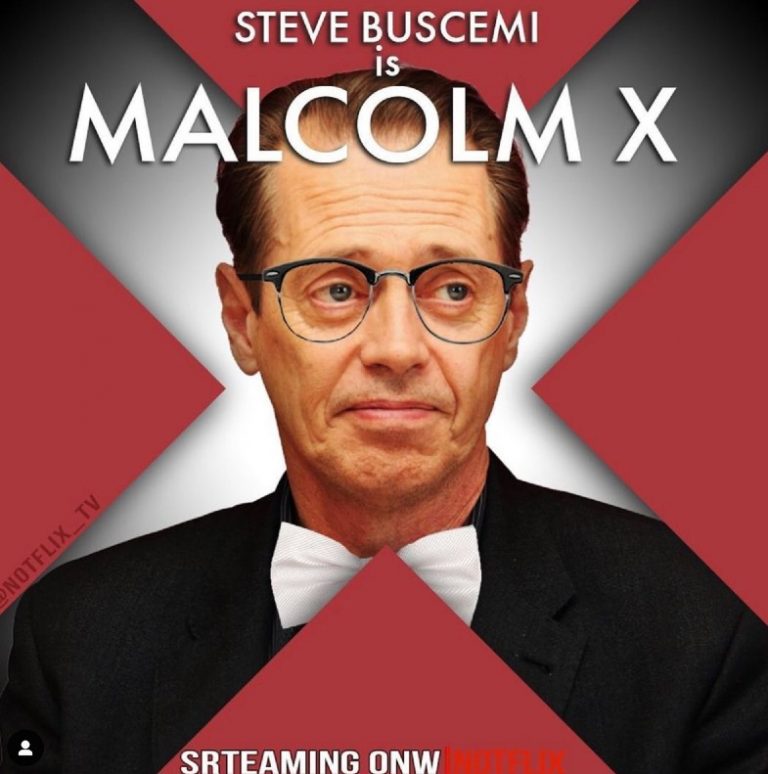 Steve Buscemi Is Malcolm X Meme Shut Up And Take My Money