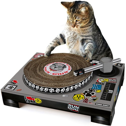 dj cat scratch turntable