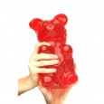 World's Largest Gummy Bear - Shut Up And Take My Money