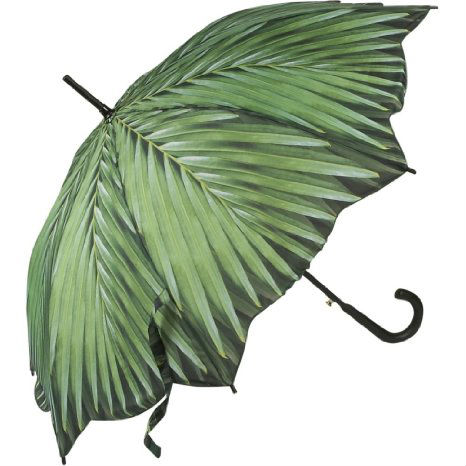 palm tree umbrella