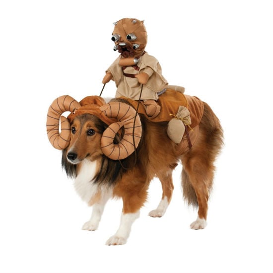 bantha dog costume