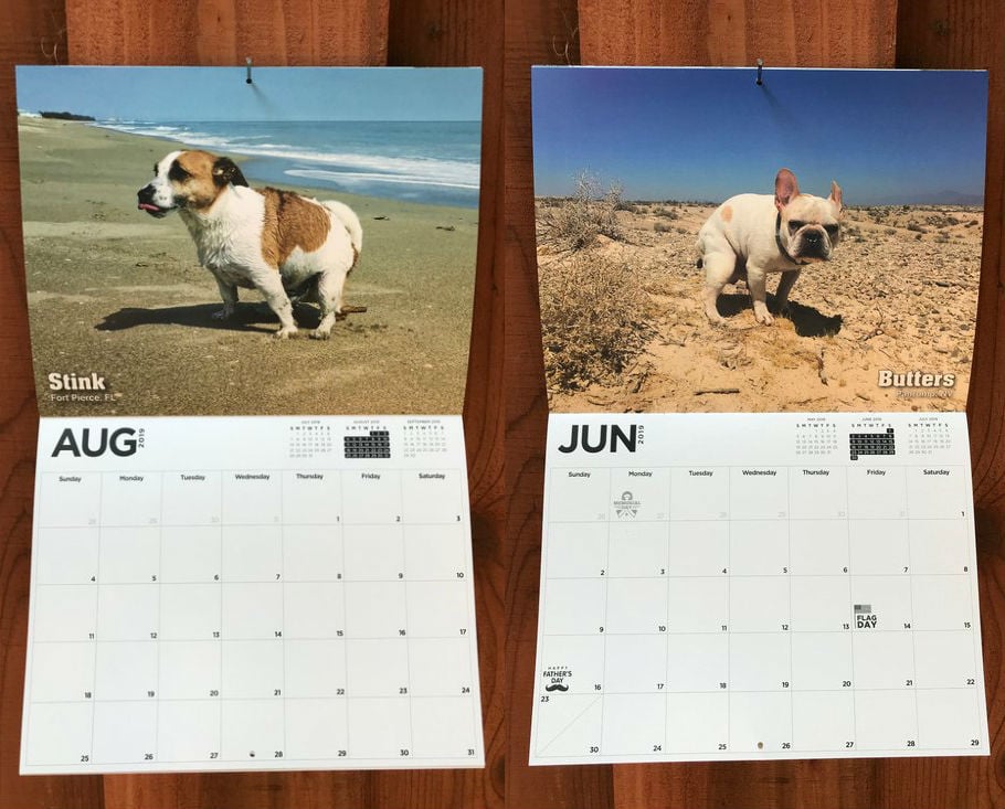 dogs pooping calendar