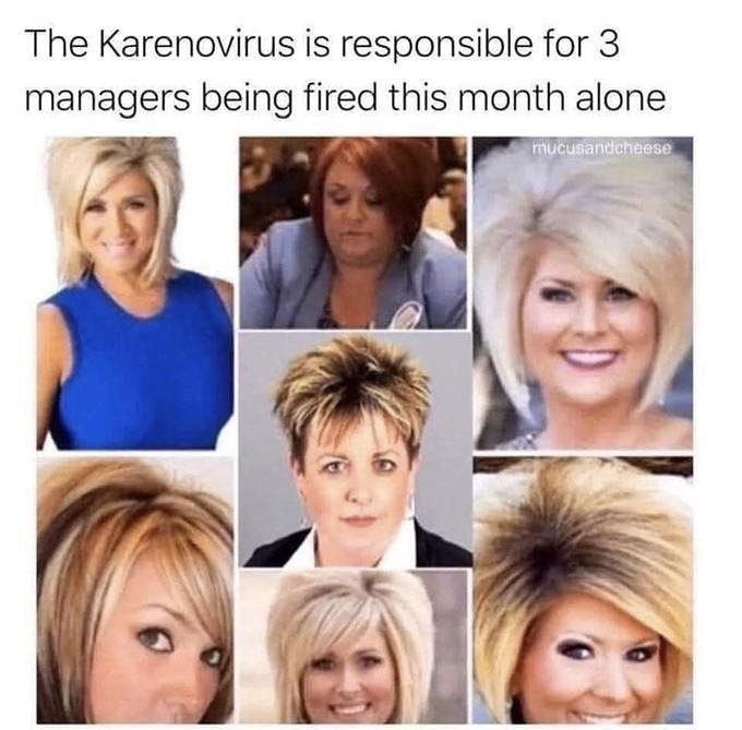 the karenovirus meme