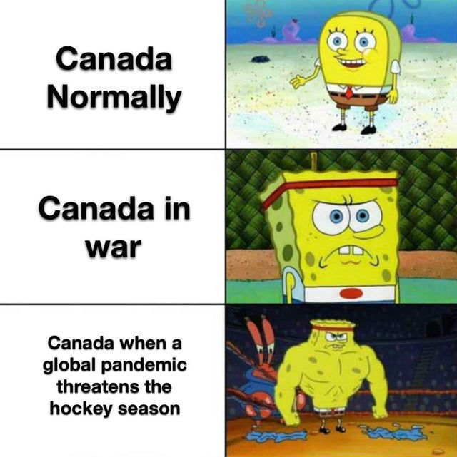 canadian corona virus meme