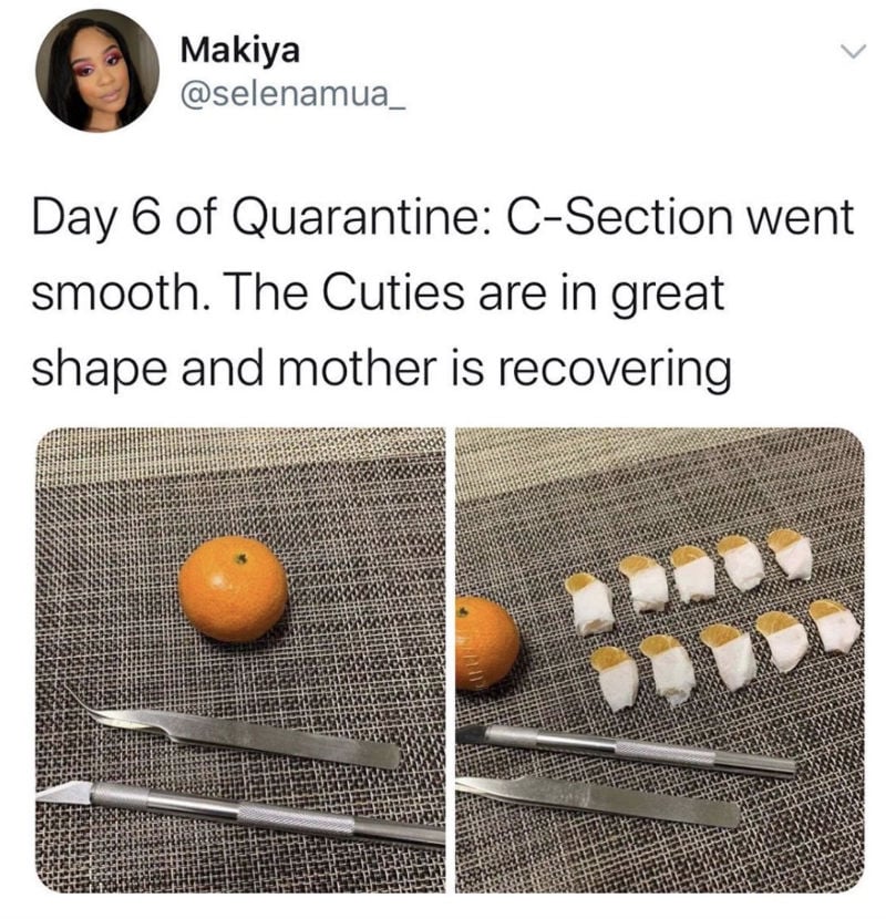 Day 6 Of Quarantine Orange C-Section Meme - Shut Up And Take My Money