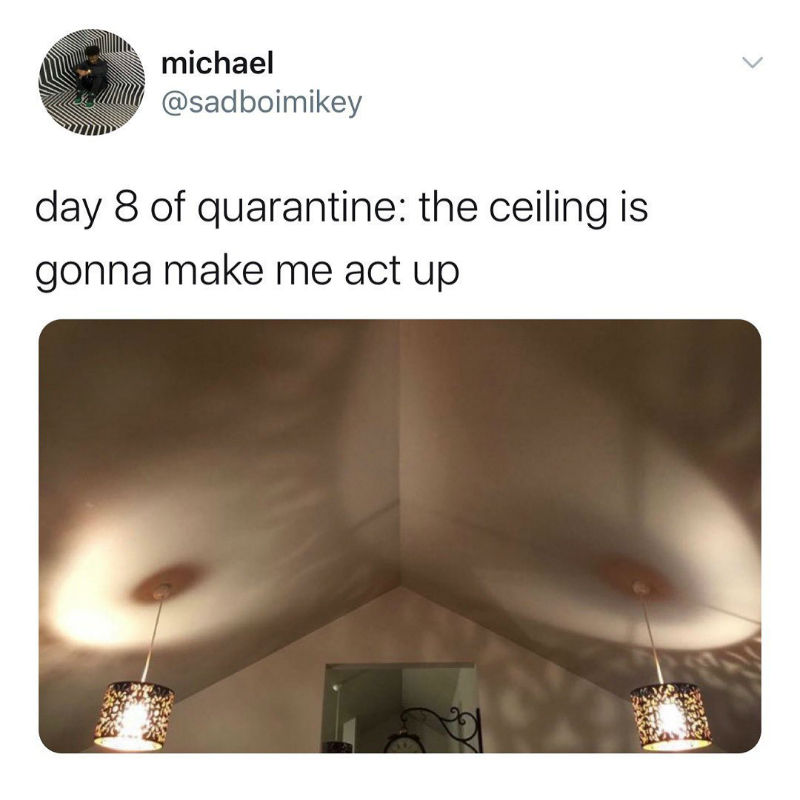 day 8 of quarantine the ceiling is gonna make me act up