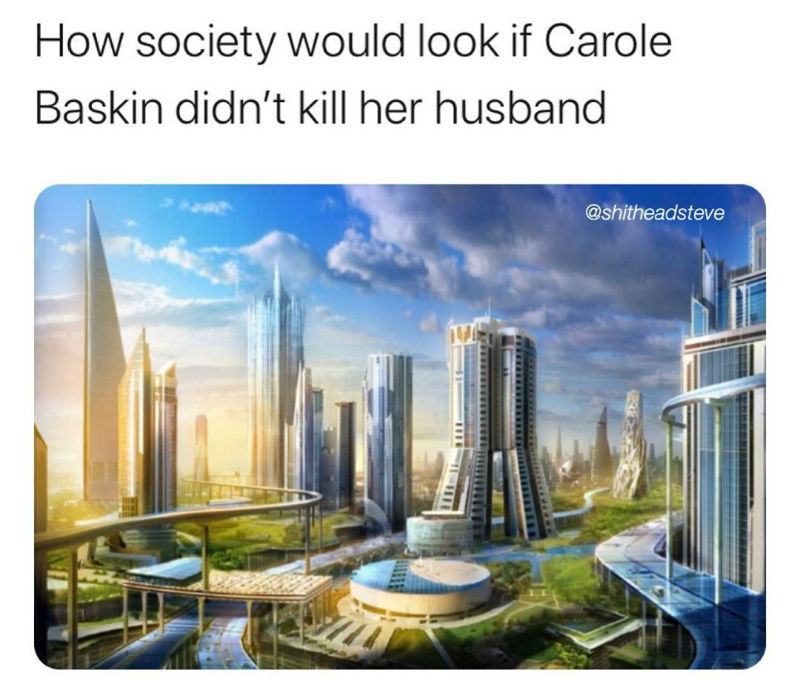 how society would look if carole baskin didnt kill her husband