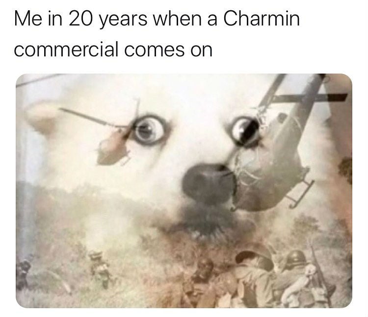 me in 20 years when a charmin commercial comes on