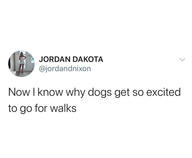 Now I Know Why Dogs Get So Excited To Go For Walks - Quarantine Meme