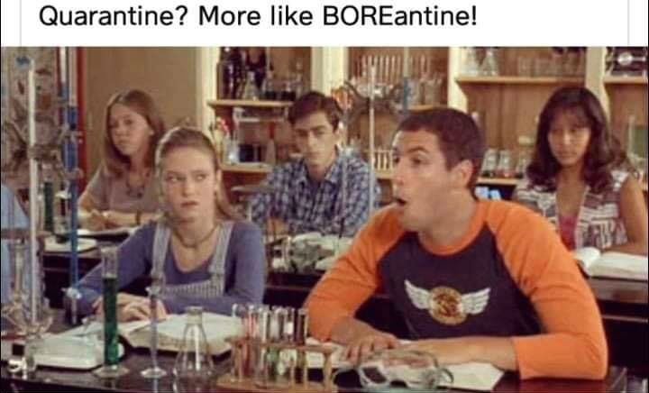 quarantine more like boreantine meme