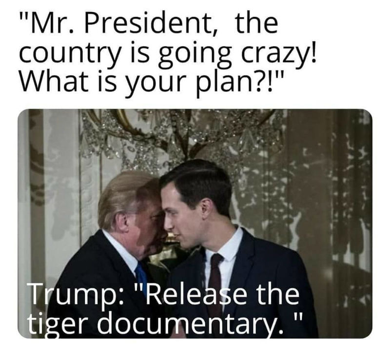 trump release the tiger documentary meme