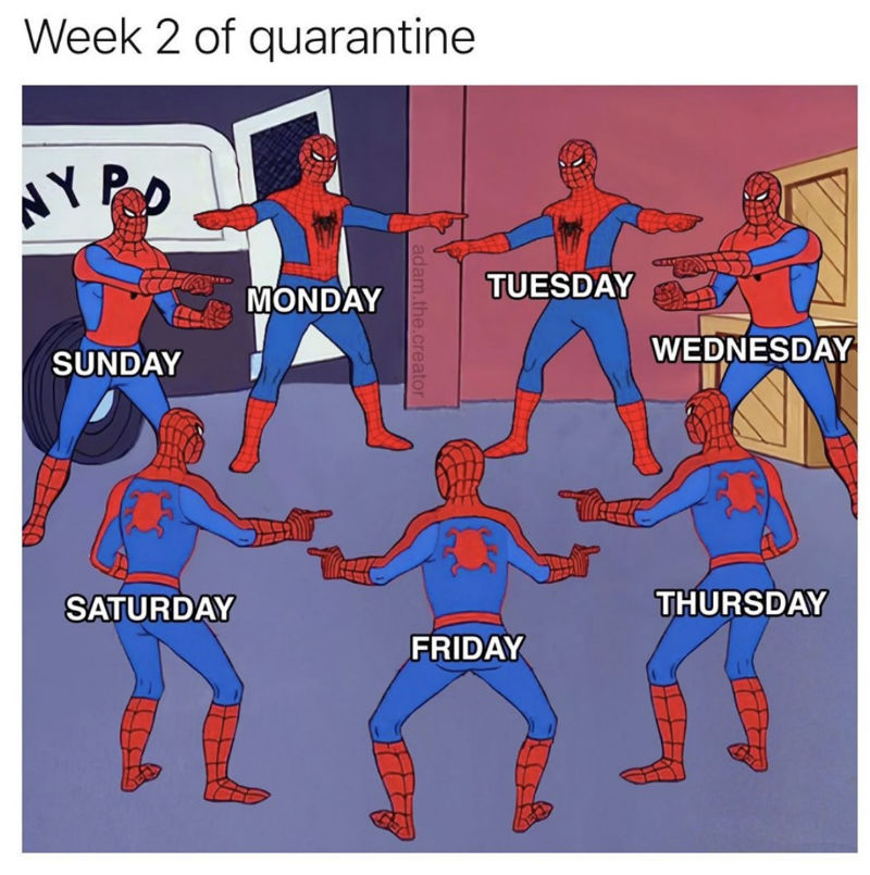 week 2 of quarantine spiderman coronavirus meme