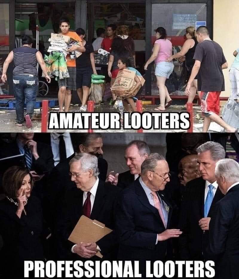 Amateur Vs Professional Looters photo