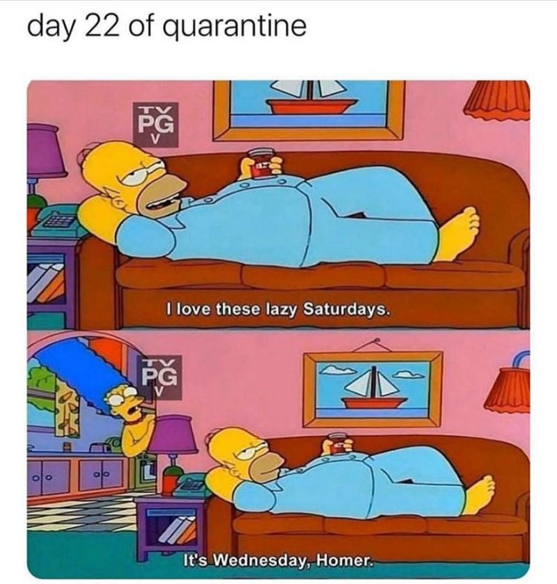 day 22 of quarantine