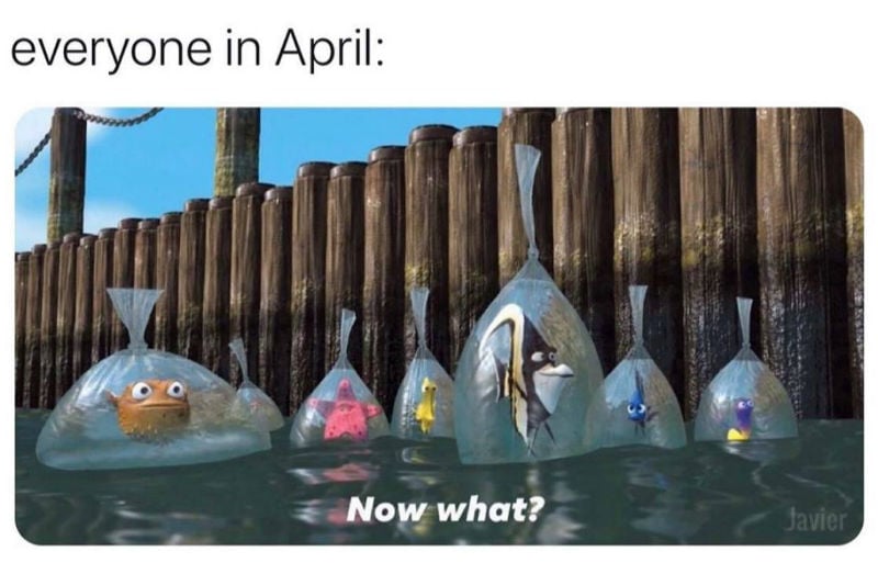 everyone in april now what