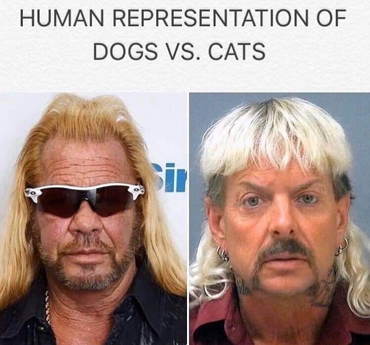 human representation of dogs vs cats