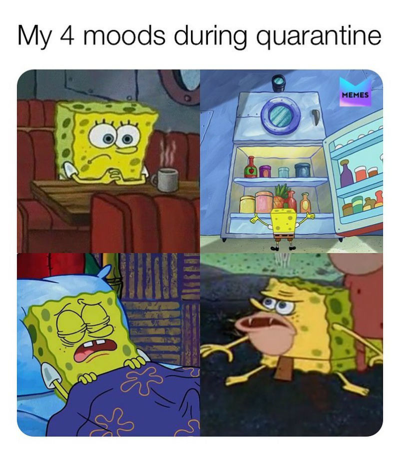 my 4 moods during quarantine