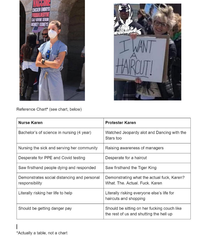 nurse vs karen protester