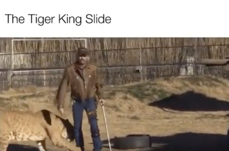 the tiger king slide meme