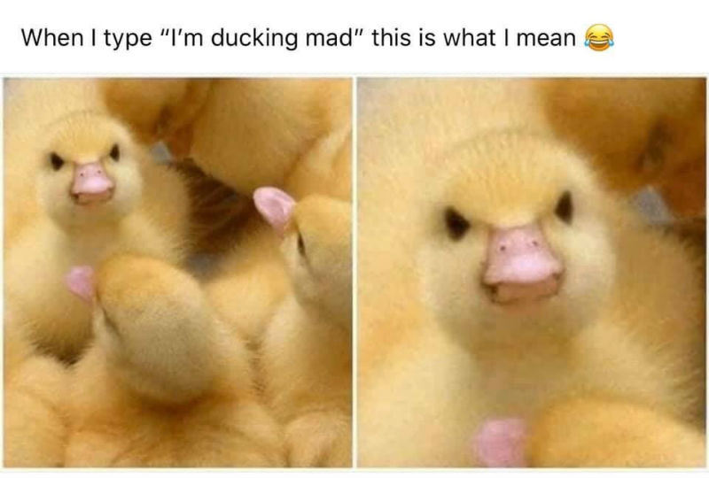 when i type im ducking mad