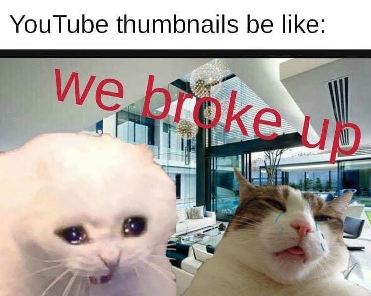 youtube thumbnails be like we broke up