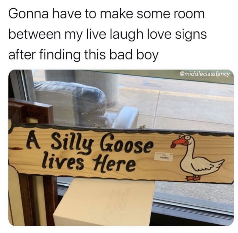 a silly goose lives here meme