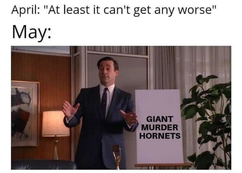april at least it cant get any worse may giant murder hornets