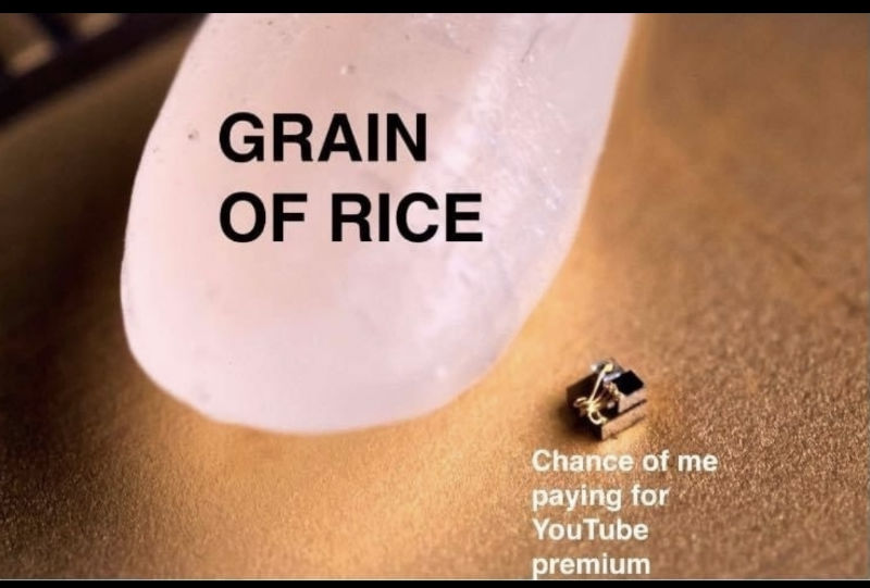 grain of rice chances of me buying youtube premium meme