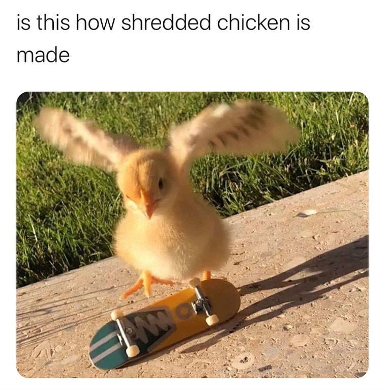 is this how shredded chicken is made meme