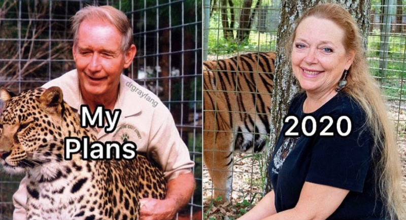 my plans 2020 carole baskin tiger king meme