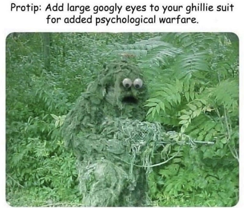 protip-add-large-googly-eyes-to-your-ghillie-suit-meme.jpg