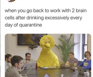 When You Go Back To Work After Quarantine Meme Archives Shut Up And Take My Money