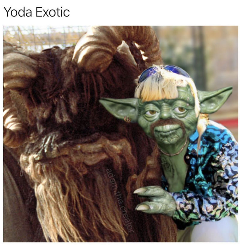 yoda exotic meme