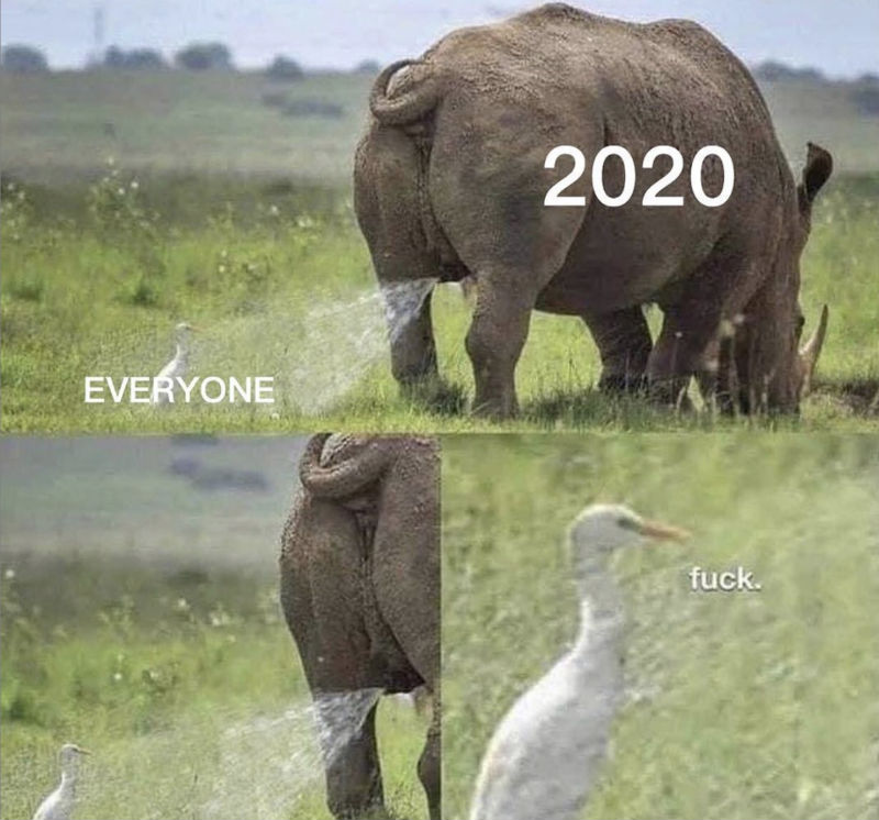 2020 everyone meme