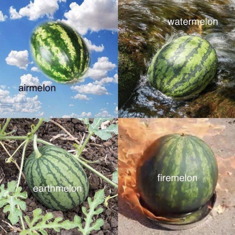 airmelon watermelon