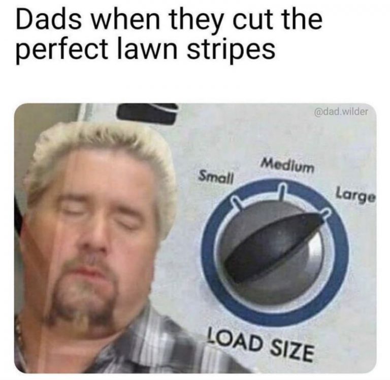 Dads When They Cut The Perfect Lawn Stripes Meme Shut Up And Take