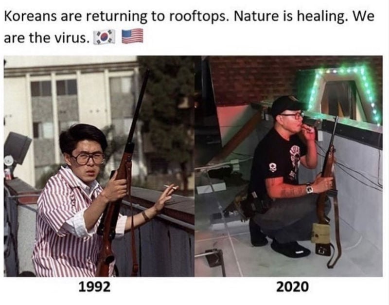 koreans are returning to roofs