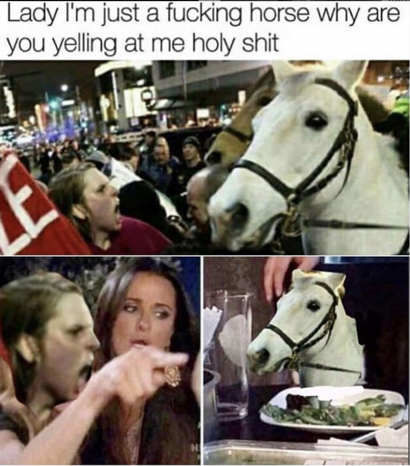 lady im just a horse why are you yelling at me protest meme