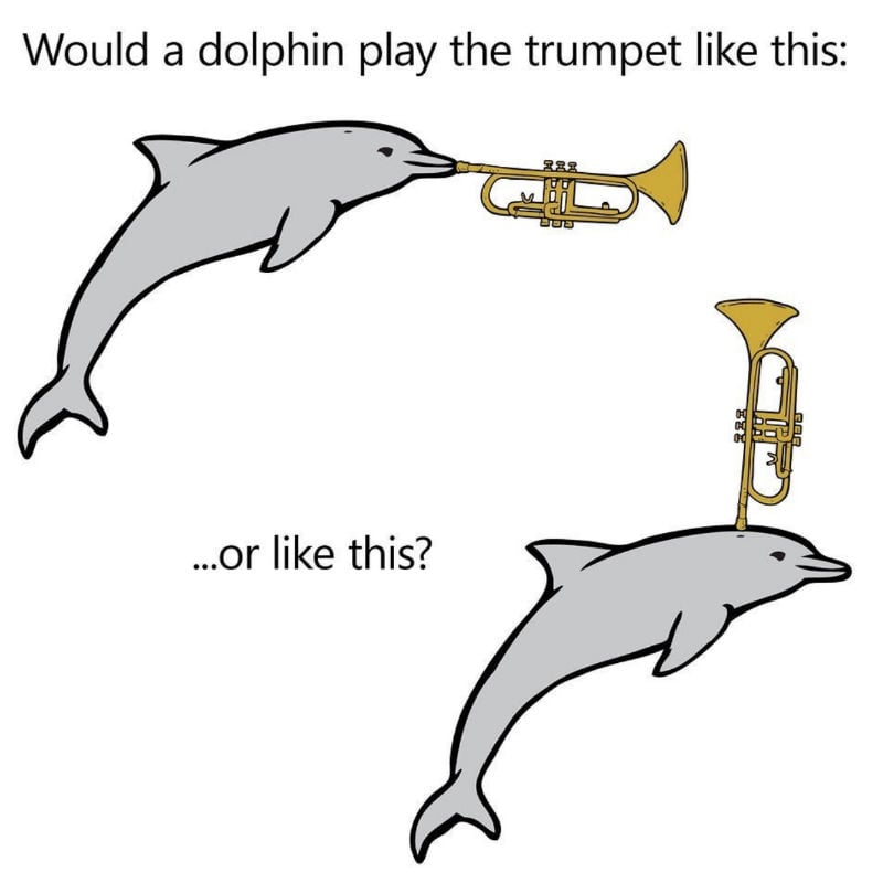would a dolphin play the trumpet like this or this