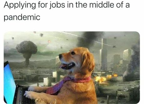 applying for jobs in the middle of a pandemic meme