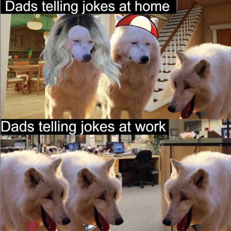 dads telling jokes at home vs telling jokes at home