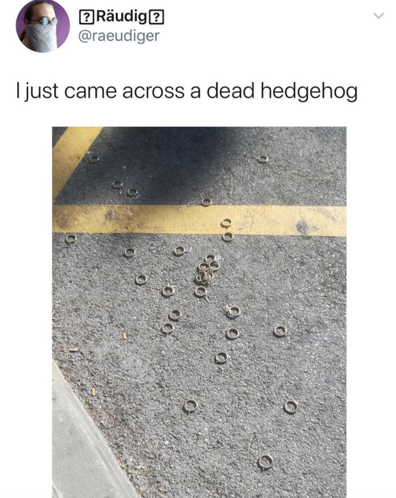 i just came across a dead hedgehog meme