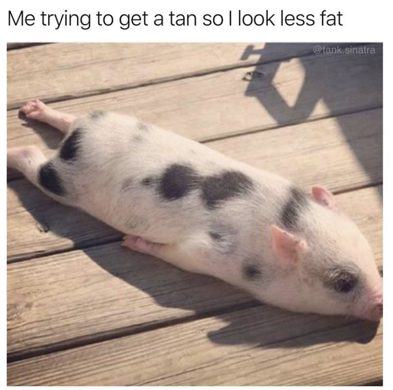 me trying to get a tan