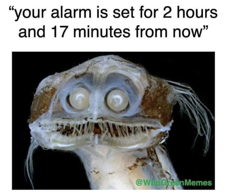 your alarm is set for 2 hours