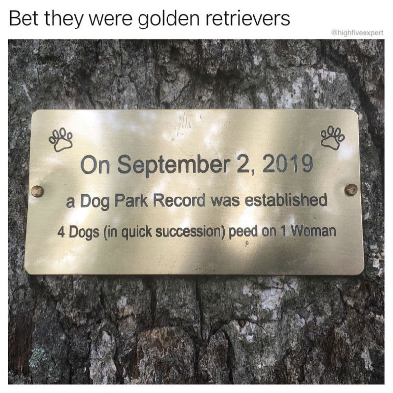 a dog park record
