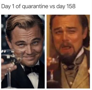 Day 1 Of Quarantine Vs Day 158 - Meme - Shut Up And Take My Money