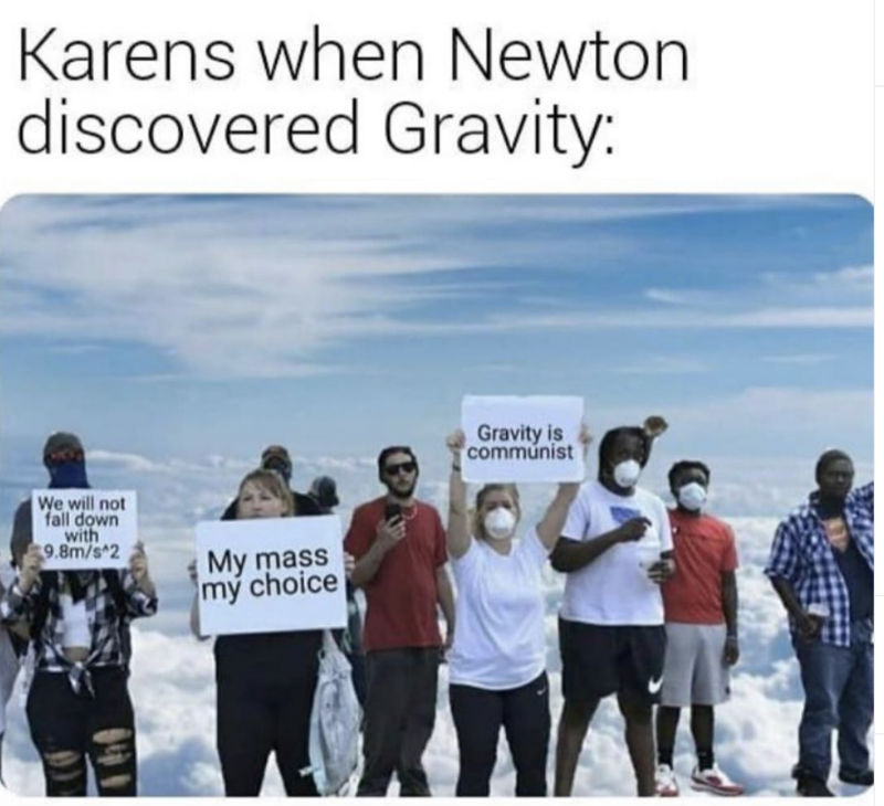 karens when newton discovered gravity meme