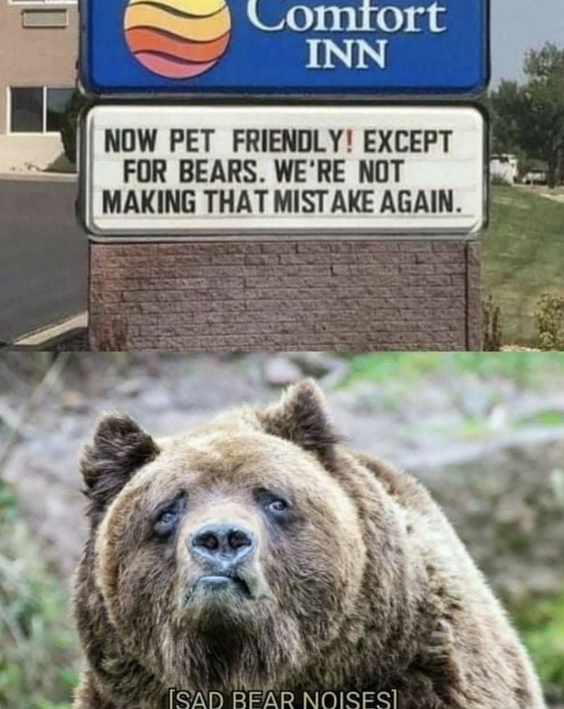 now pet friendly except for bears meme
