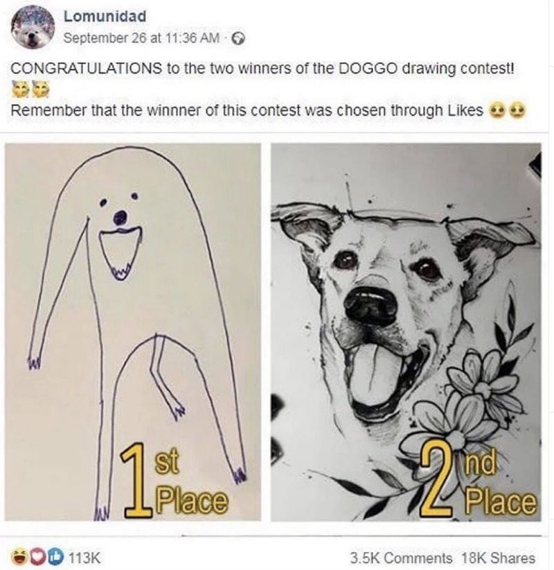 Congratulations To The Two Winners Of The DOGGO Drawing Contest Meme